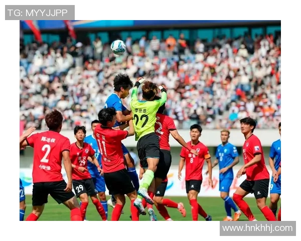 全面解析式足球资料助你深入了解这项运动的魅力与技巧